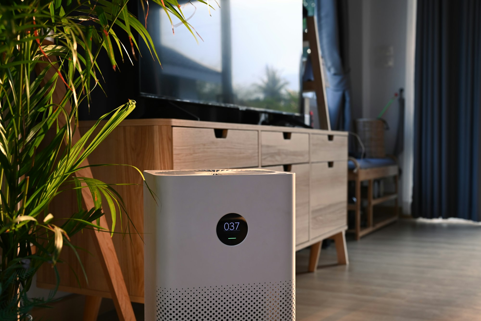 Air purifier in a living room setting, enhancing indoor air quality. Modern design complements home decor. Air purification in Washington DC.
